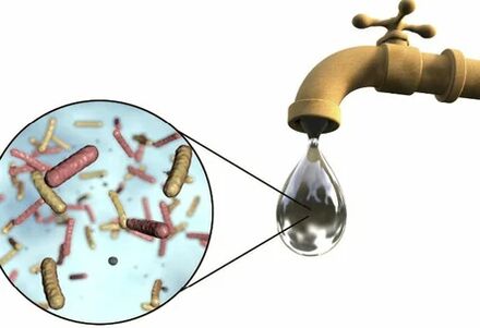 Parassiti in una goccia d'acqua dalla gru