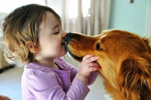 Infezione da vermi da un cane